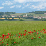 Paysage du bonheur